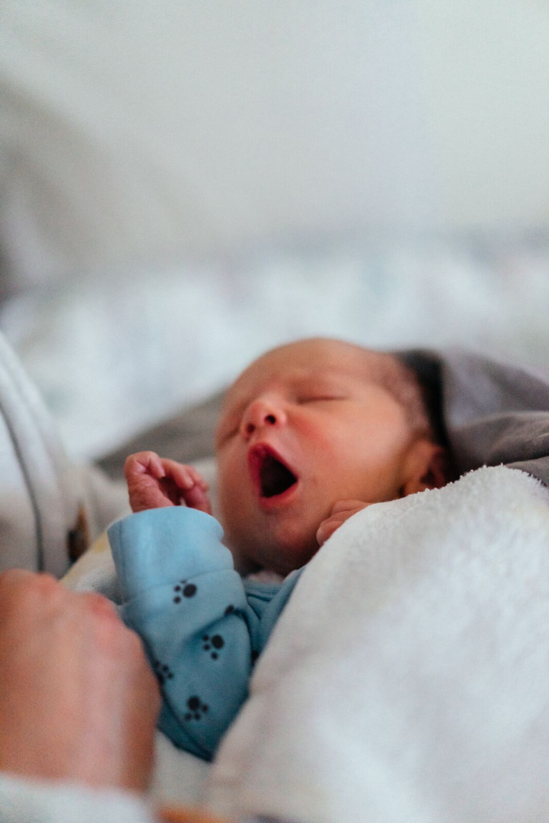 Baby slaapt ineens veel overdag Little Sleepers